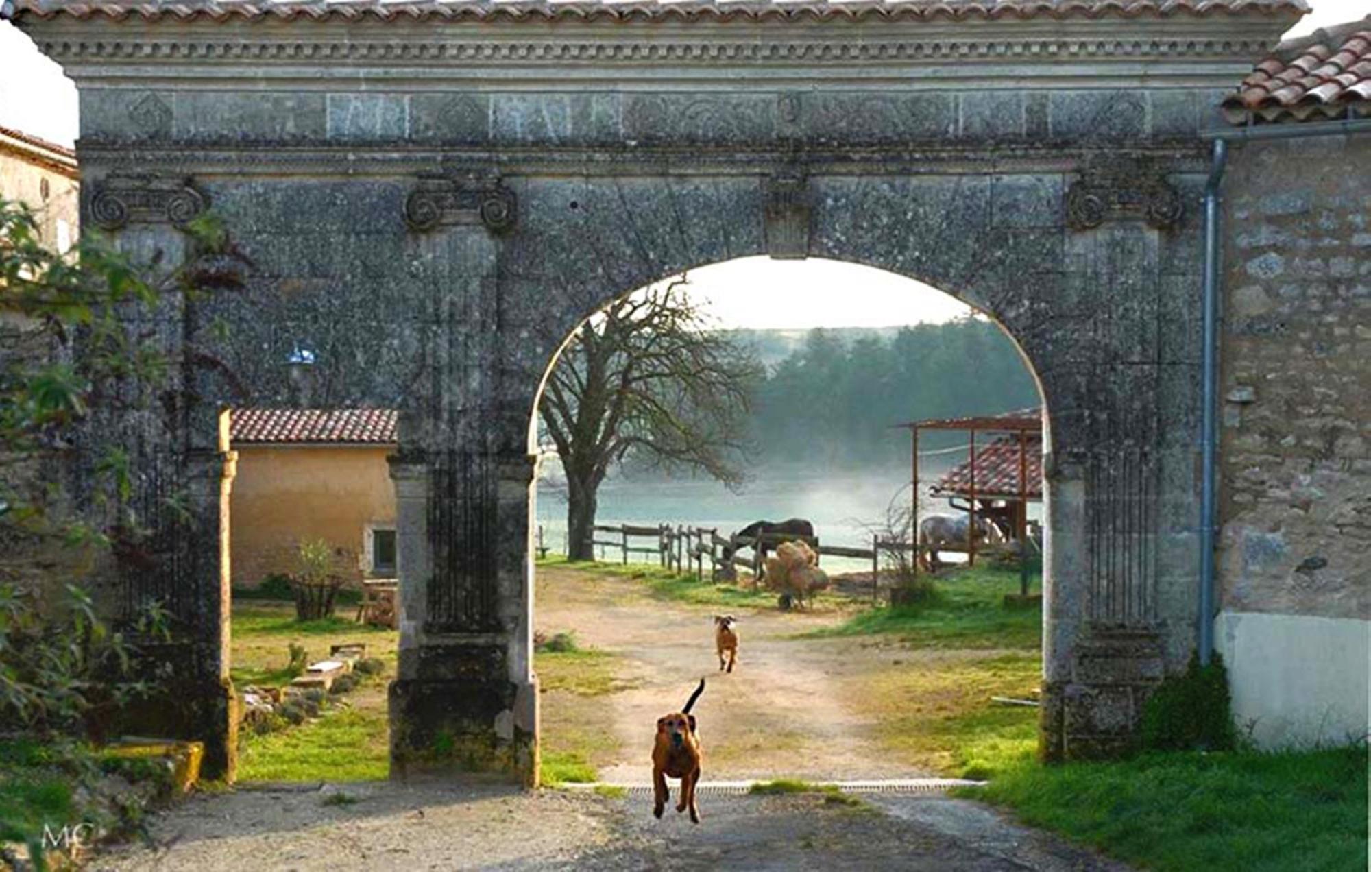 Domaine De Chantemerle B'Nb Marsac (Charente) Exterior foto